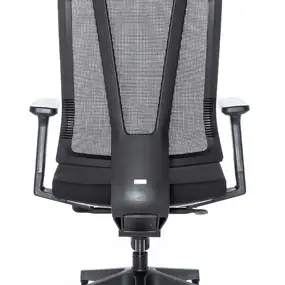 Эргономичное кресло Falto G1 (3 уровня поясницы, сетка, ткань, чёрный)