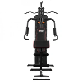 Силовой комплекс Alpin PRO GYM GX-750