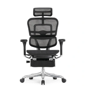 Эргономичное кресло Falto Ergohuman 2 Elite с подножкой (алюминий, наклон вперёд, сетка, чёрный)