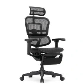 Эргономичное кресло Falto Ergohuman 2 Elite с подножкой (алюминий, наклон вперёд, сетка, чёрный)