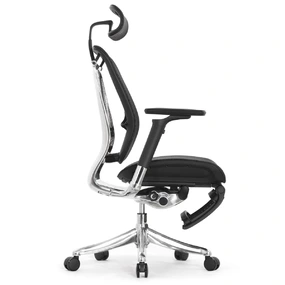 Эргономичное кресло Falto Spring 2 с подножкой (поясничный валик, подлокотники 6D (360), сетка, чёрный)