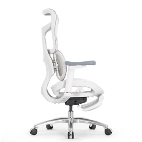 Эргономичное кресло Falto Scala Office с подножкой (разделённый поясничный упор, сетка, каркас белый, серый)