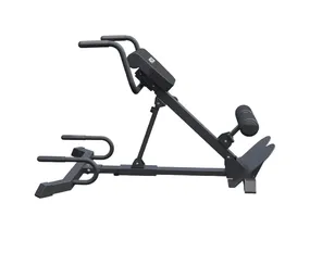 Гиперэкстензия/Римский стул DFC MAXXUS GSMX-6